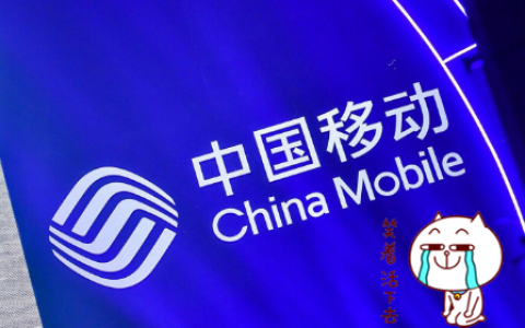 微信取得通讯软件胜利，飞信失败，网友：格局决定未来